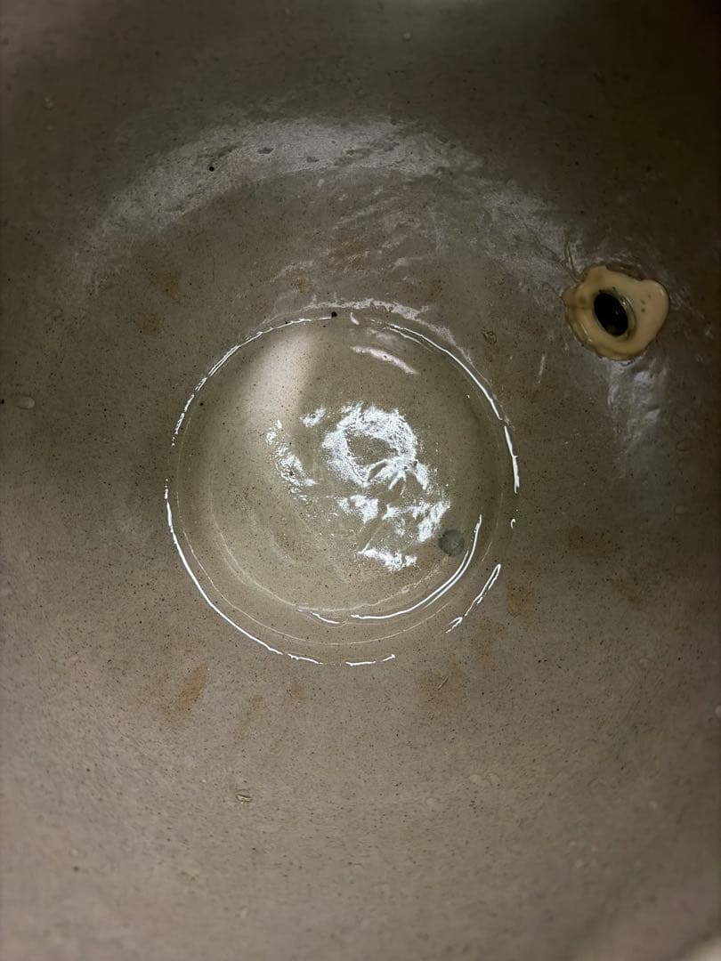 最終値下げ 泡盛 焼酎 サーバー まさひろ