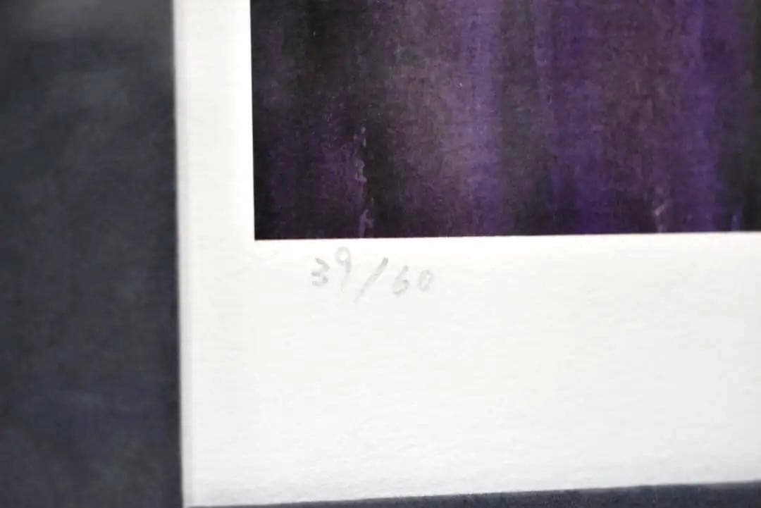 天野喜孝 異形の将軍 39/60 版画 直筆サイン入 アールビバン グインサーガ