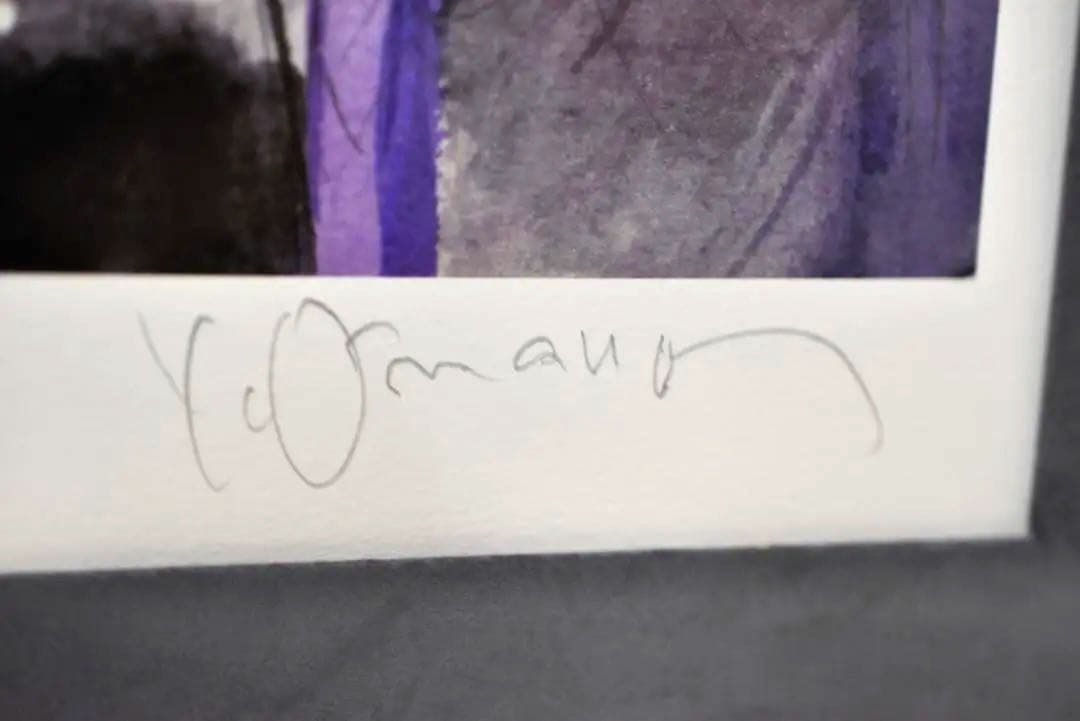 天野喜孝 異形の将軍 39/60 版画 直筆サイン入 アールビバン グインサーガ