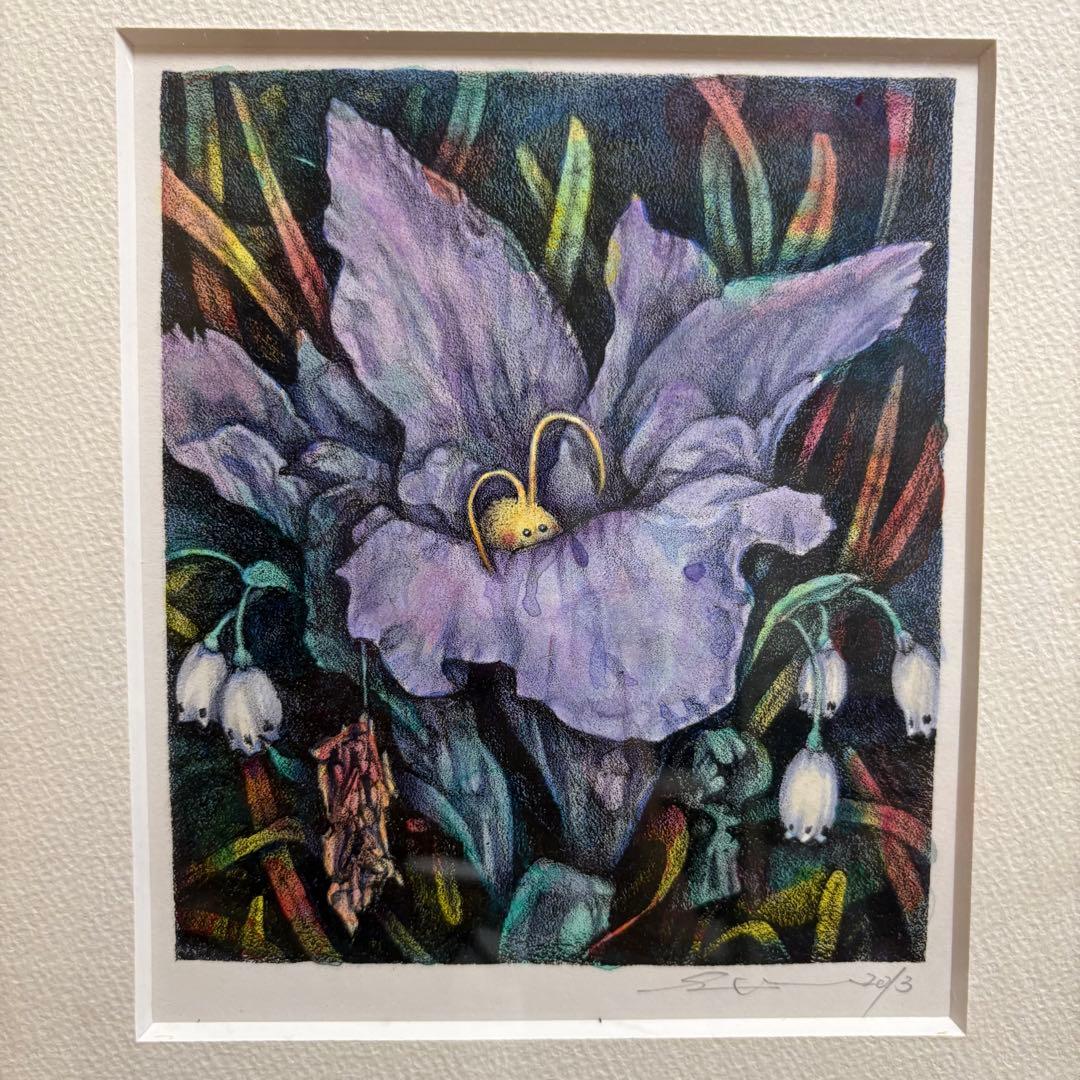 妖精 フェアリー ペンシルアート カラー 絵画 アート 花 フラワー