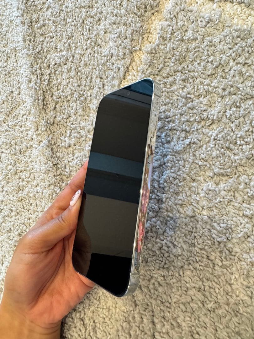 iPhone14Pro シルバー 本体 美品 ケースおまけ付き