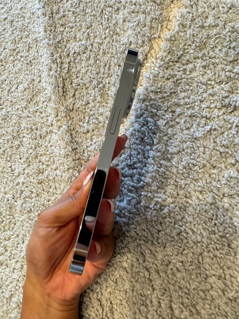 iPhone14Pro シルバー 本体 美品 ケースおまけ付き