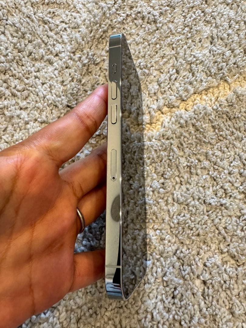 iPhone14Pro シルバー 本体 美品 ケースおまけ付き