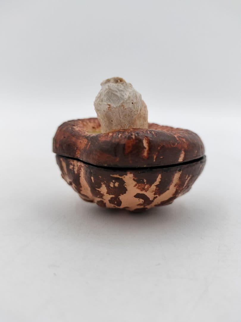 b119 【新品・未使用】香合 乾漆 椎茸 畦地粒俵 木箱 茶道具 多喜翁 風炉