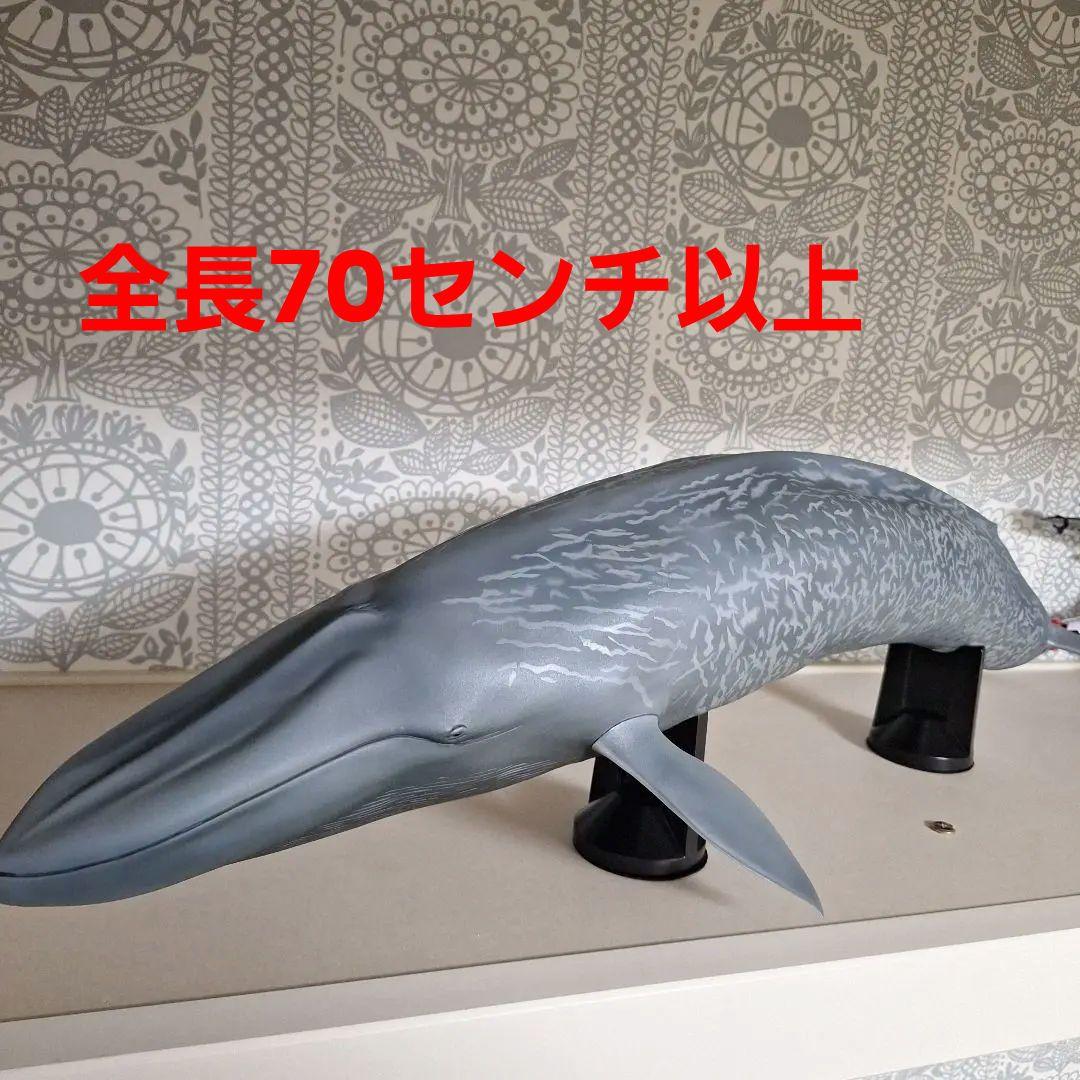 海洋堂 巨大フィギュア 全長70cm以上! シロナガスクジラ