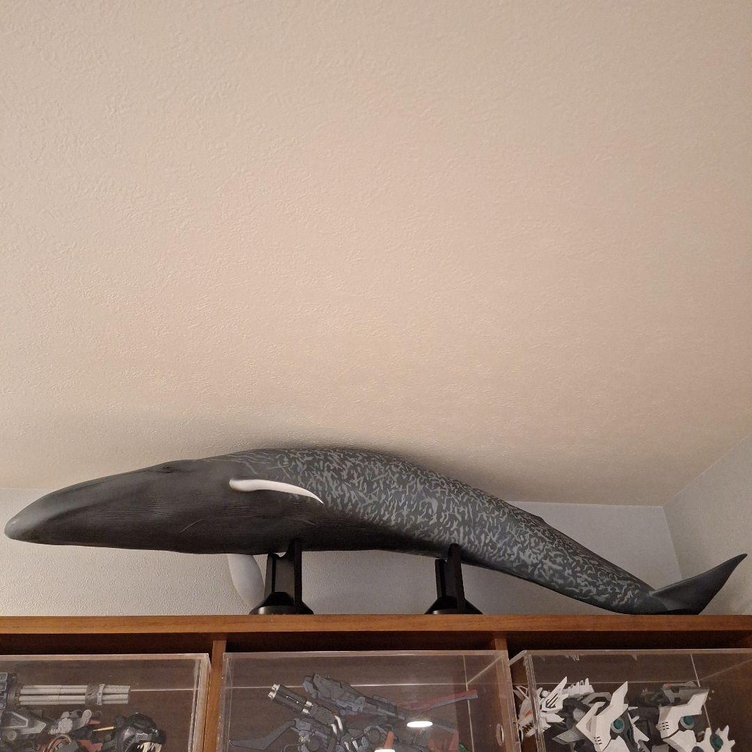 海洋堂 巨大フィギュア 全長70cm以上! シロナガスクジラ