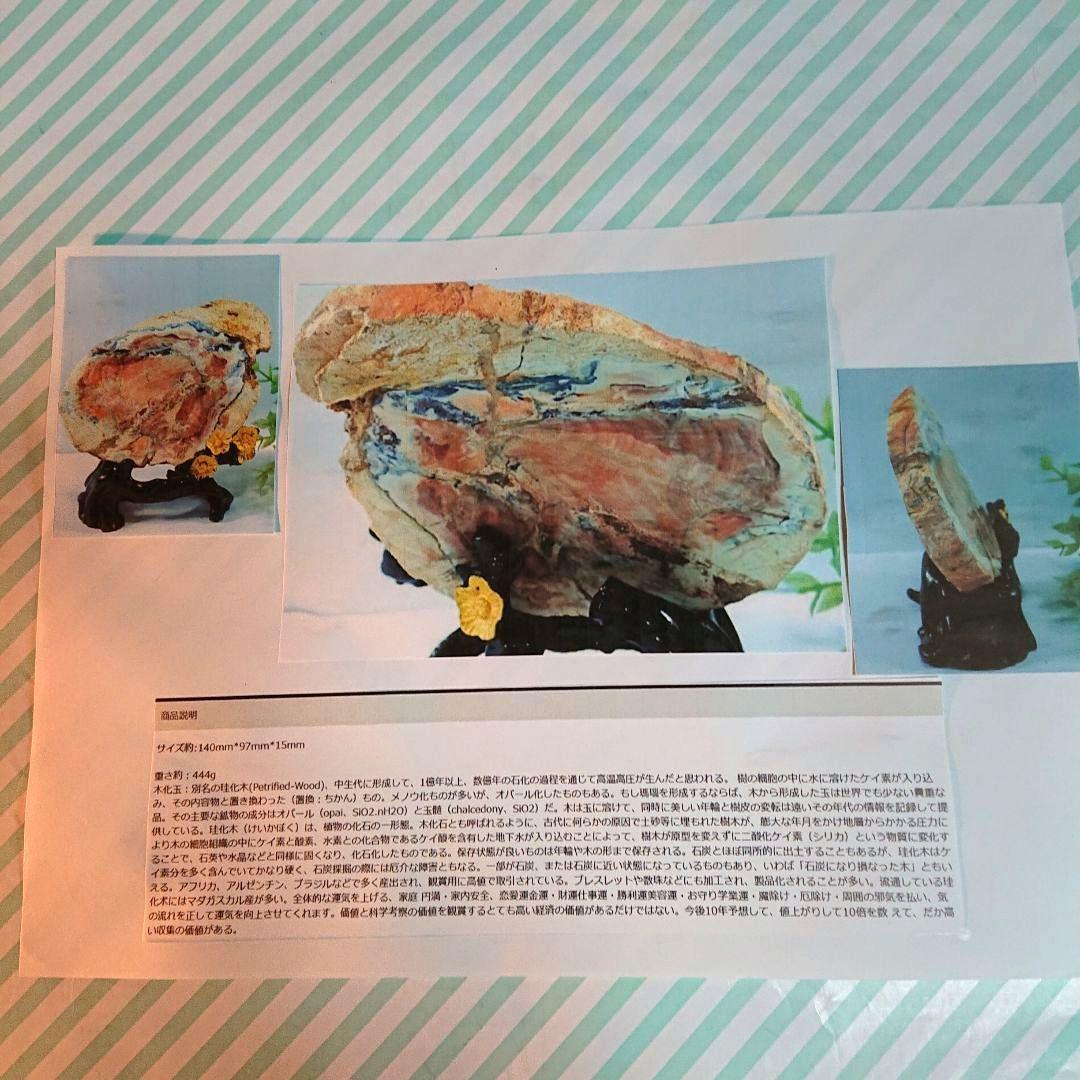 綺麗な化石 天然木 化玉原石