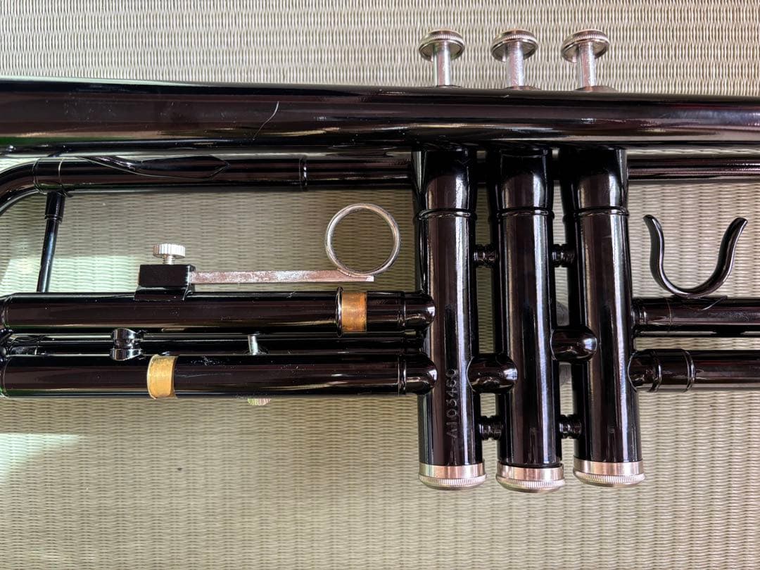 ブラックトランペット ケース付き