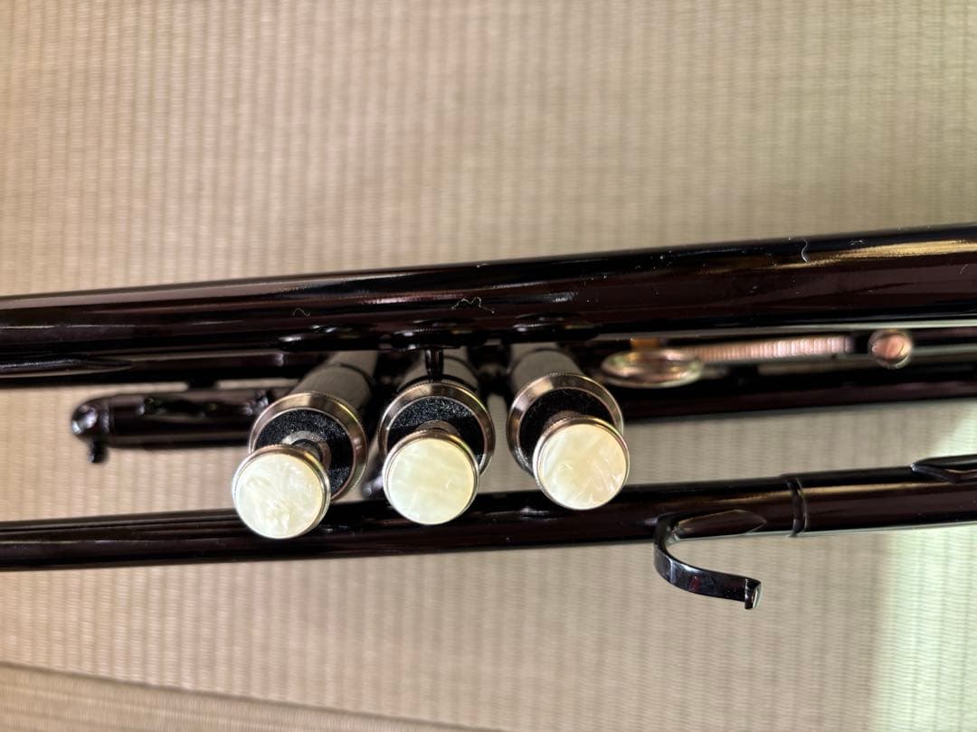 ブラックトランペット ケース付き