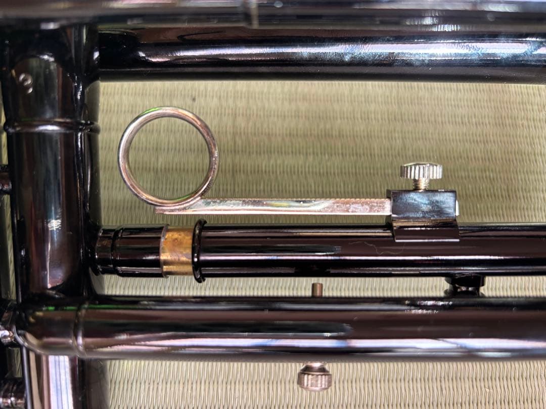 ブラックトランペット ケース付き