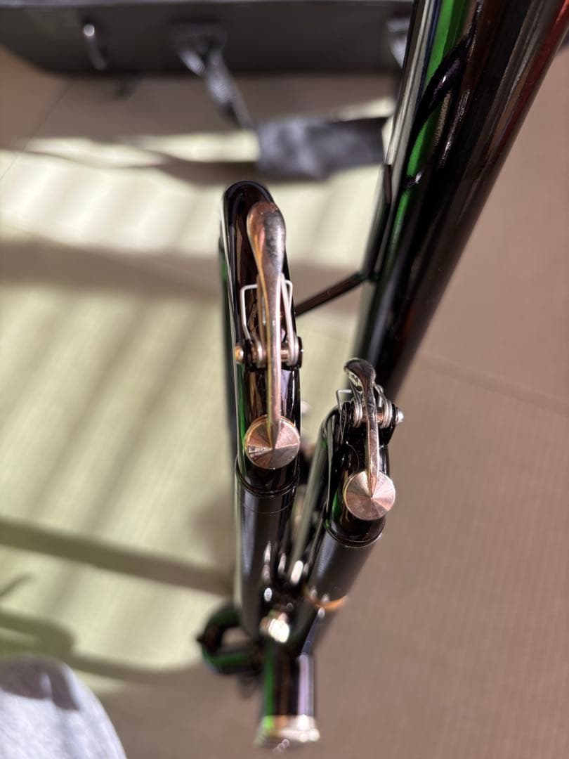 ブラックトランペット ケース付き