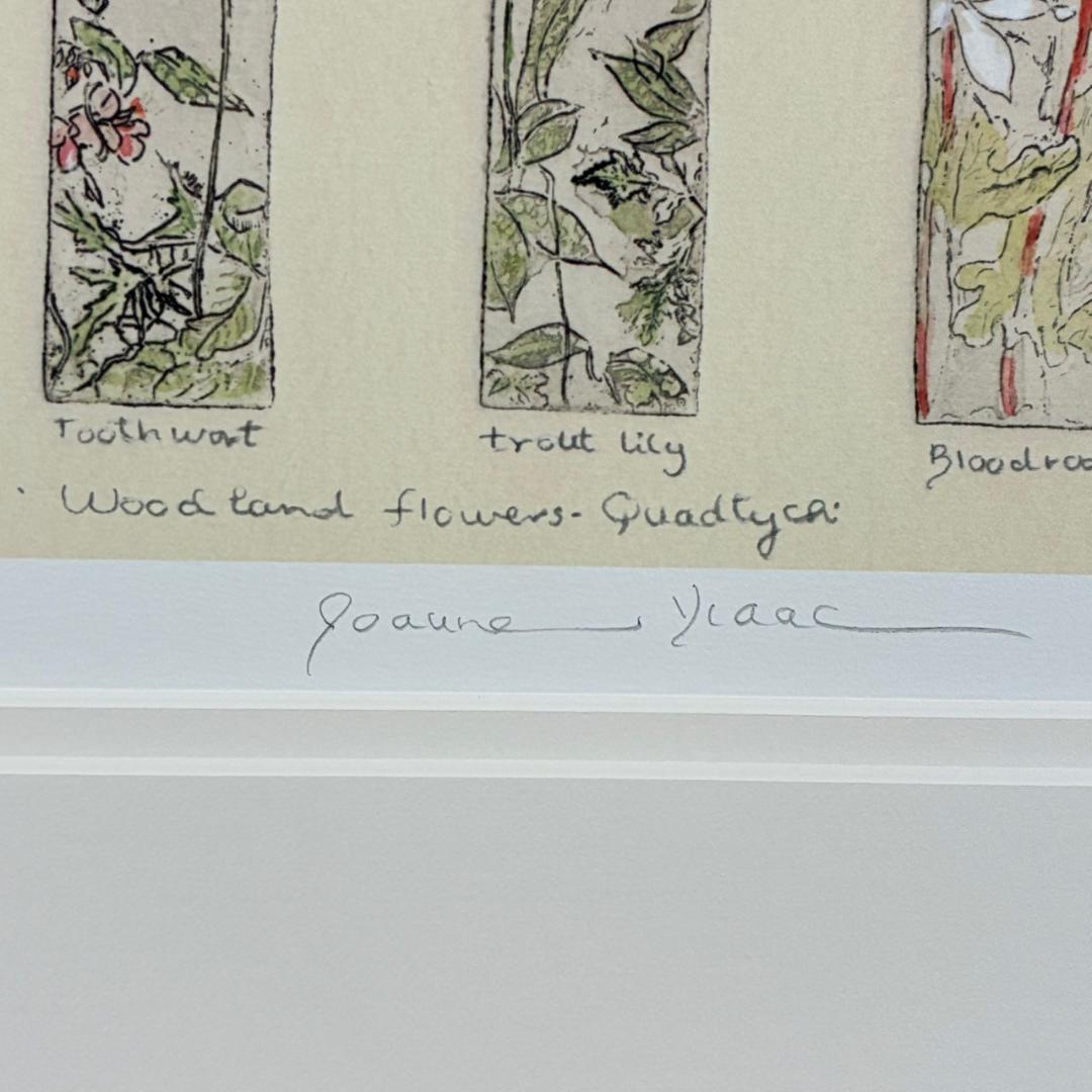 美品 ジョアン・アイザック「Wood～/森の花々」ジクレー 直筆サイン・保証書有
