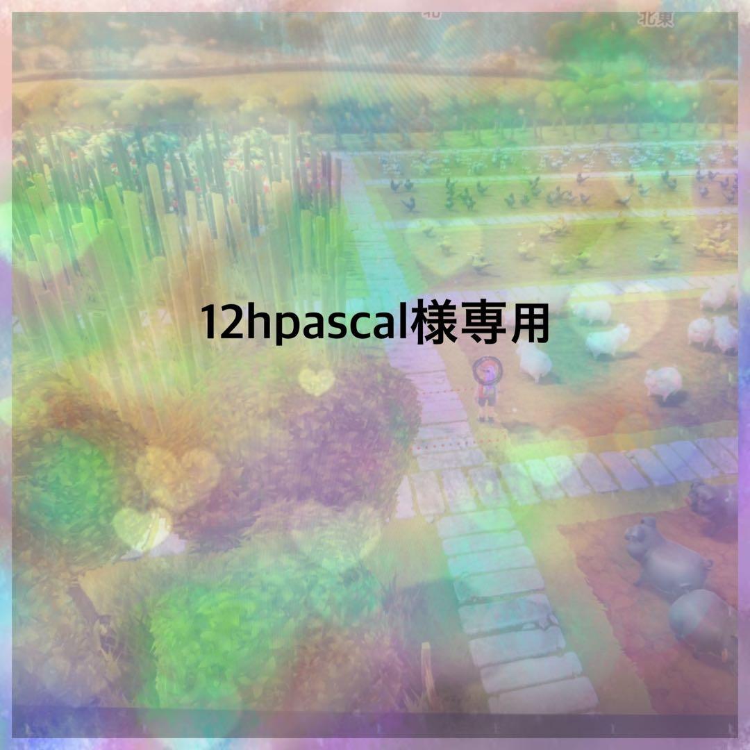 コレクション 12hpascal