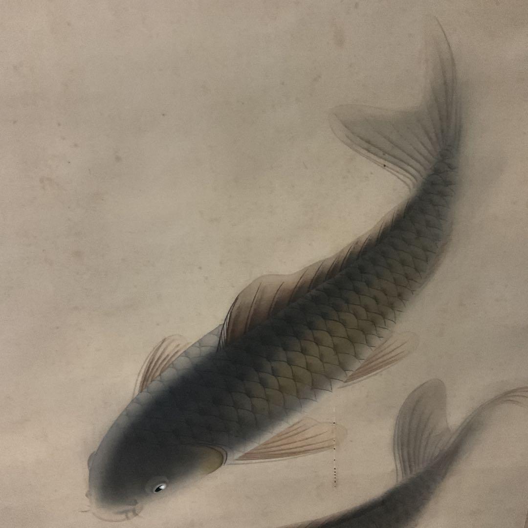 晃陽筆 彩色画 絹本掛け軸 【 遊鯉図 】 軸先陶器軸