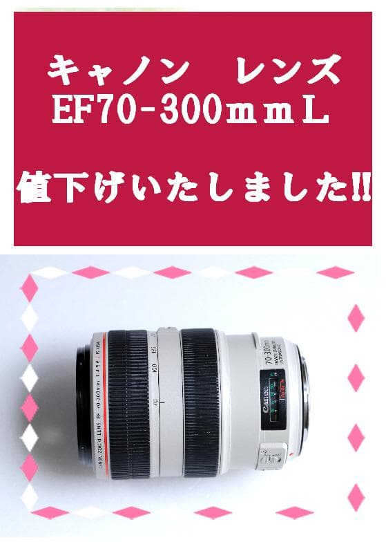 キヤノンレンズ　EF70-300ｍｍＦ4-5.6Ｌ ＩＳ ＵＳＭ