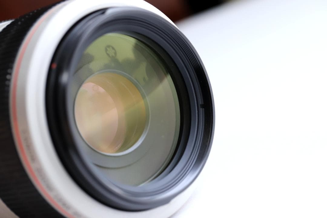 キヤノンレンズ　EF70-300ｍｍＦ4-5.6Ｌ ＩＳ ＵＳＭ