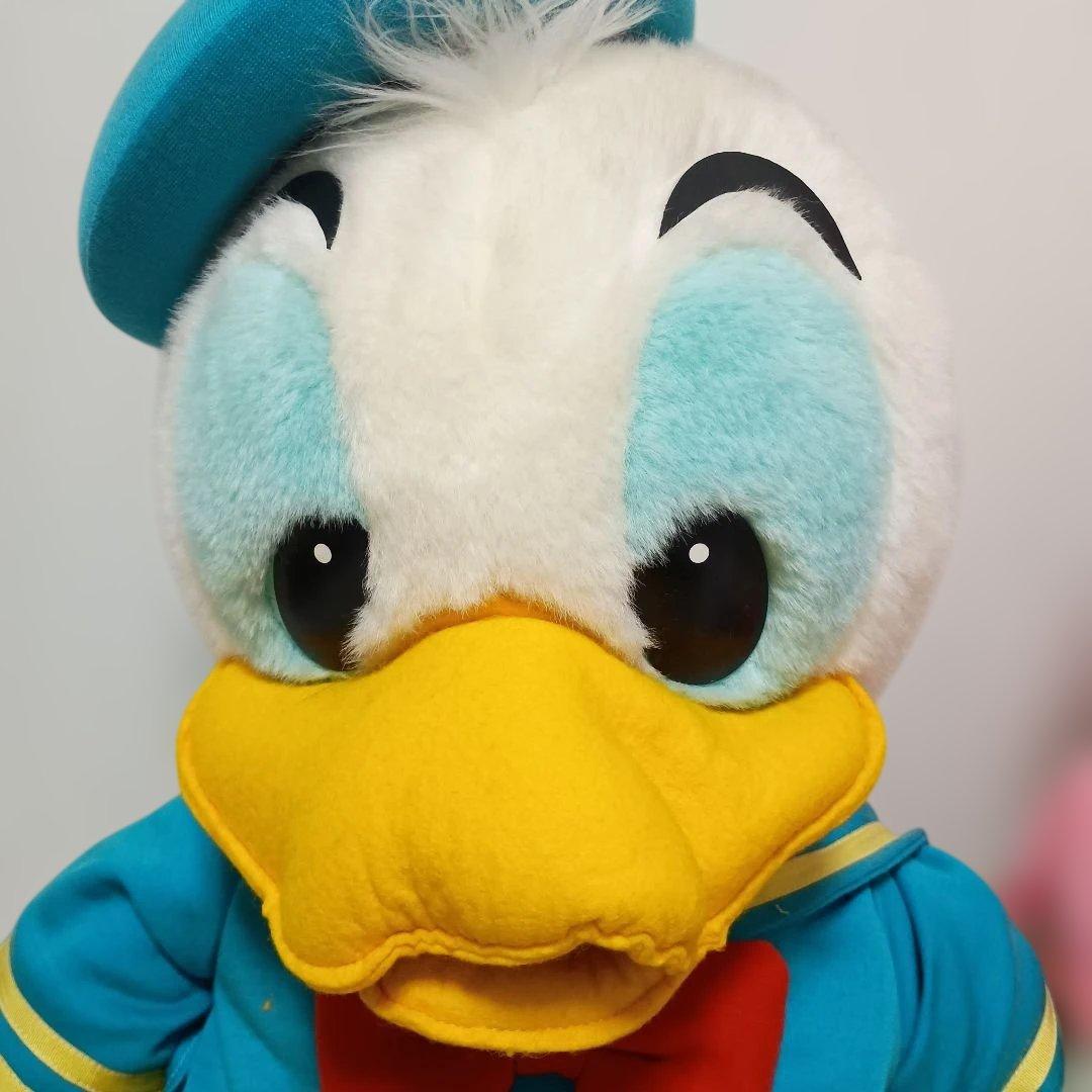 ディズニー　ドナルドダック　デイジービッグぬいぐるみ2体セットディズニーリゾート