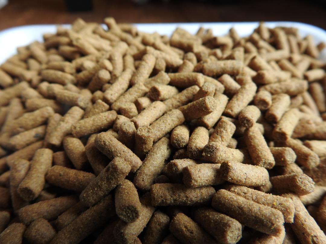 ★【アヒル・コールダック飼育繁殖·ヒナ向け】4kg ＋BC-6∶4kg