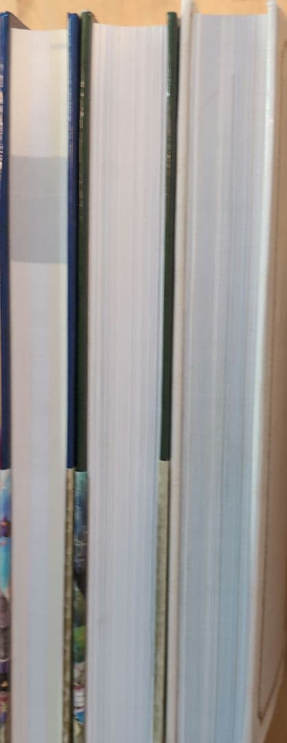 ゼルダの伝説ブレスオブザワイルドマスターワークス = THE LEGEND O…