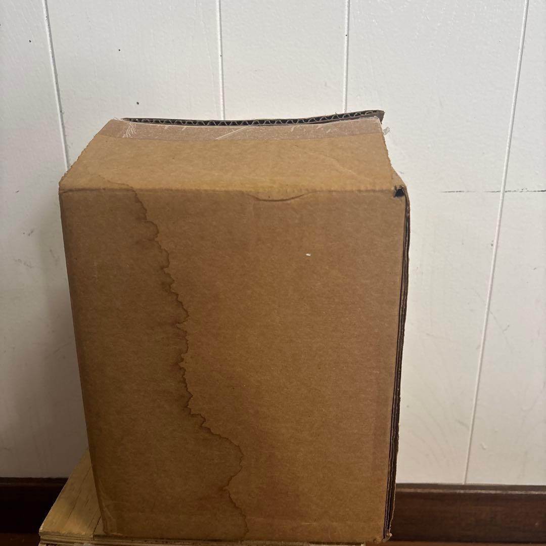 美品　米軍　実物 NYLON CORD TYPE III ナイロンパラコード　②