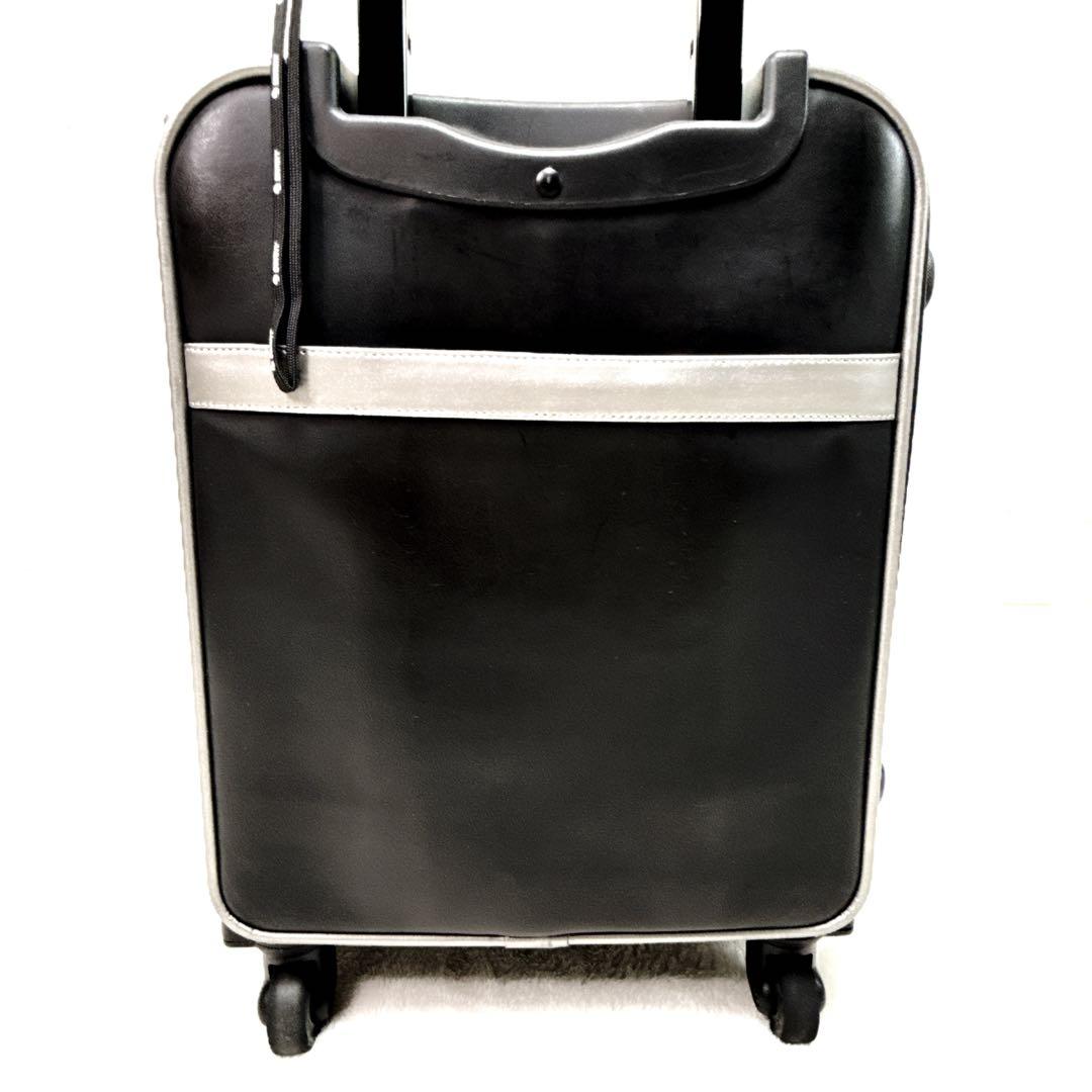 美品✨ SWANY　本革 レザー　機内持込　ビジネス キャリーケース　南京錠つき