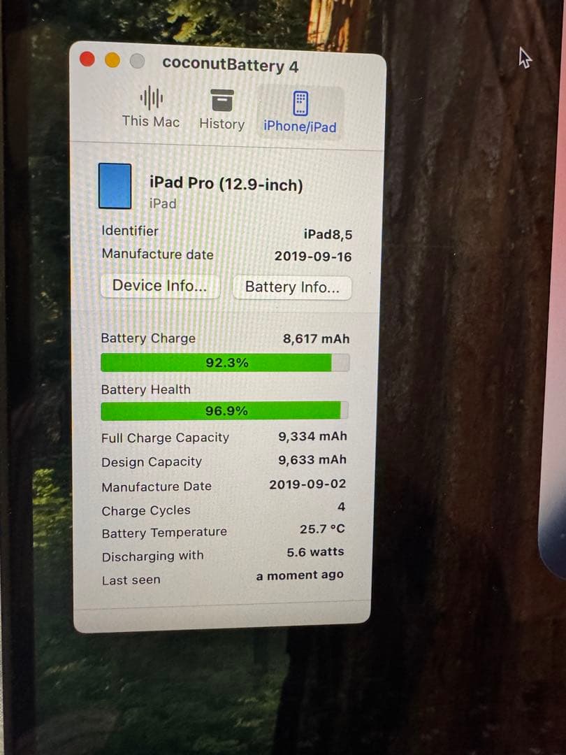ア*ス様 【極美品】iPad Pro 12.9第3世代64GB バッテリー96%