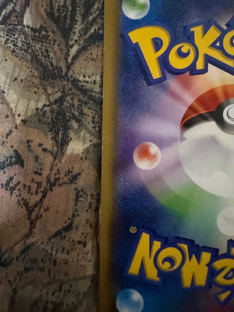 ポンチョを着たピカチュウ