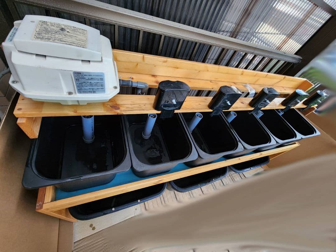 【送料込み】めだか　オーバーフロー型ブリード(育成)台　セット　メダカラック