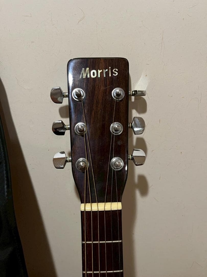 MORRIS アコースティックギター MD-512