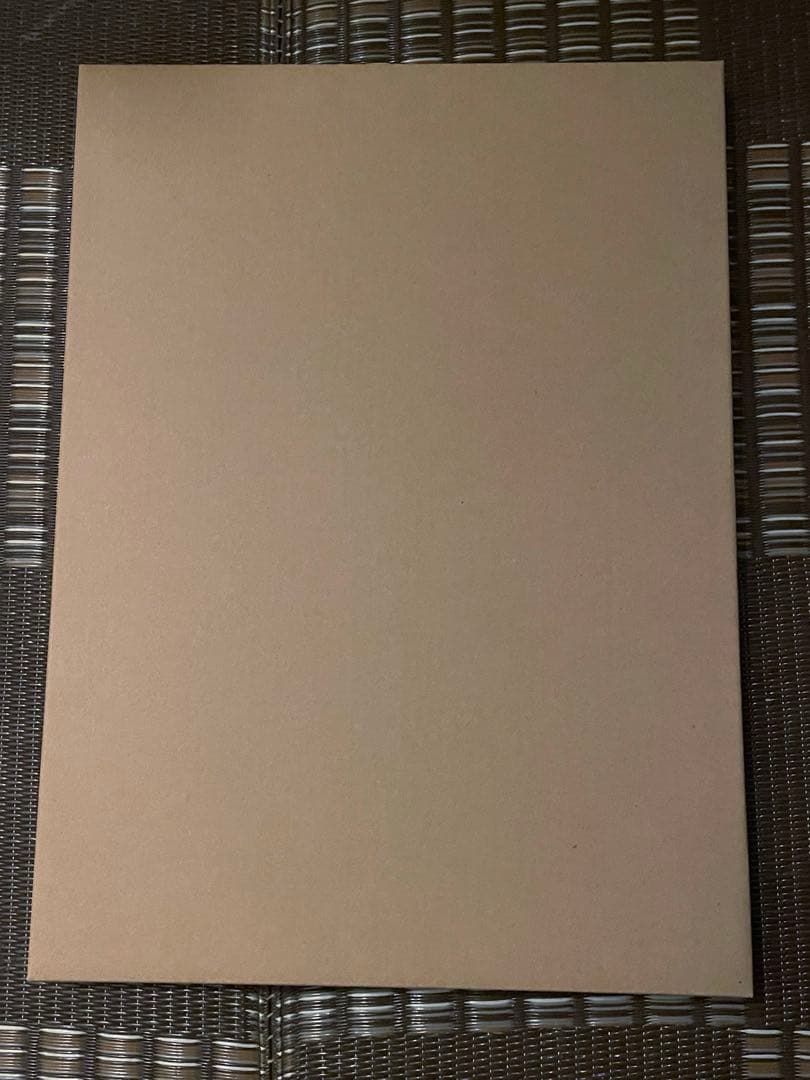 ときめきメモリアル　GS VISA 直筆サイン　額装イラスト　紺野玉緒　設楽聖司