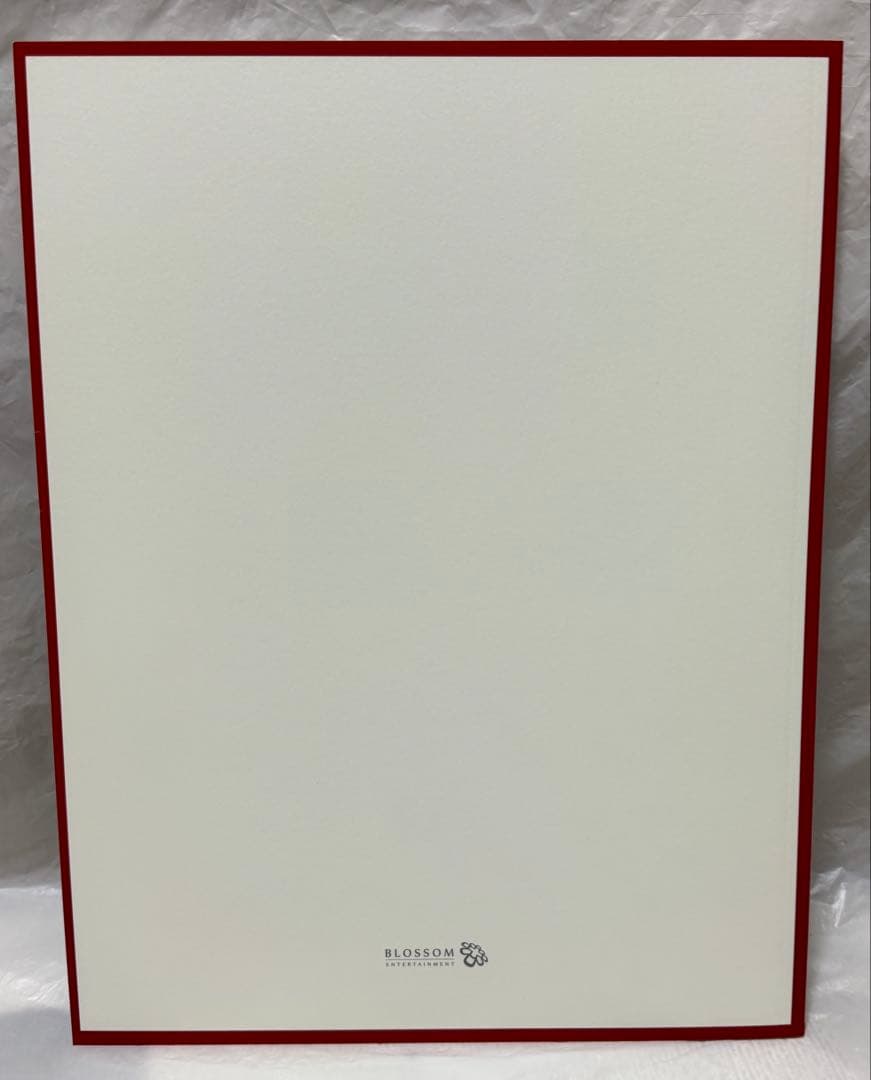 パクボゴム 2017年 ファンミーティング Japan DVD クリスマスイブ