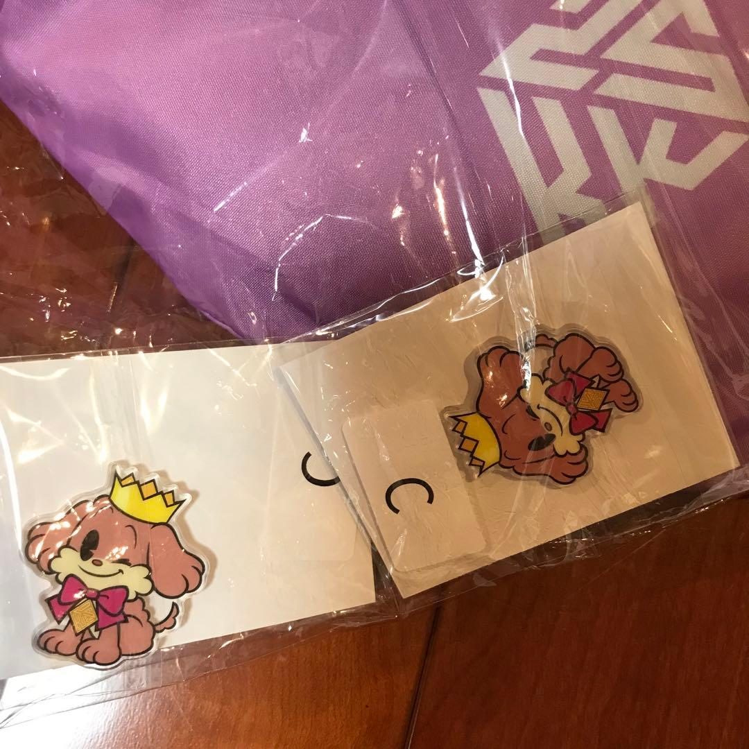 kkapp テント＋マグネット