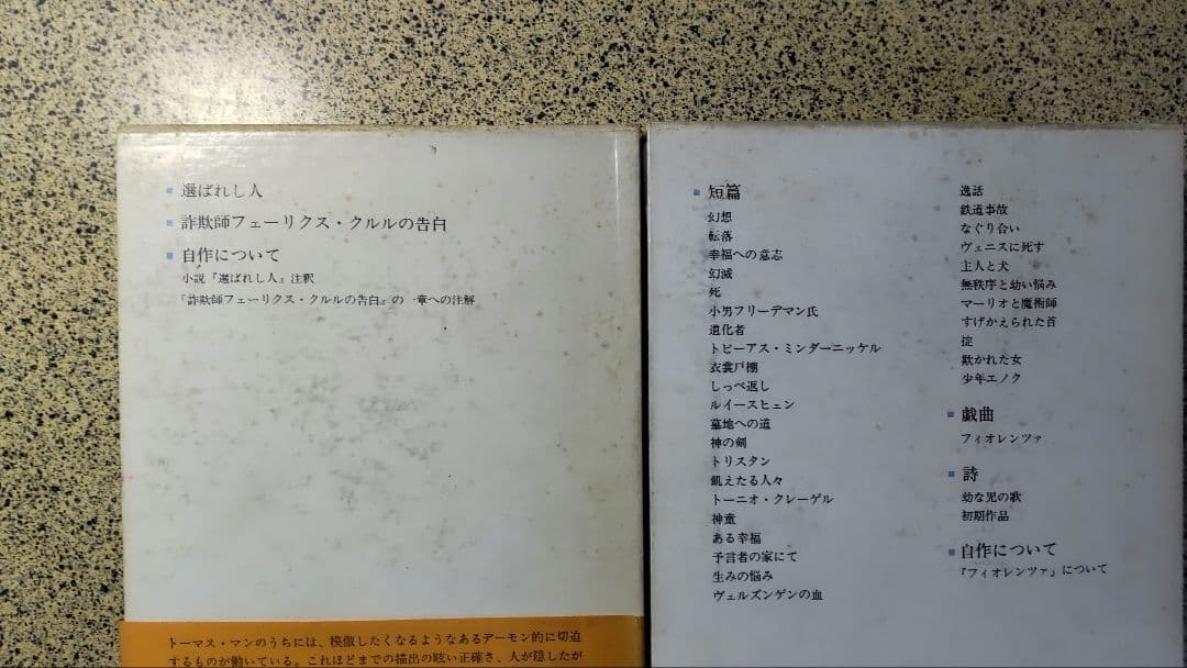 トーマス・マン全集/全13冊セット/書き込みなし/防水梱包