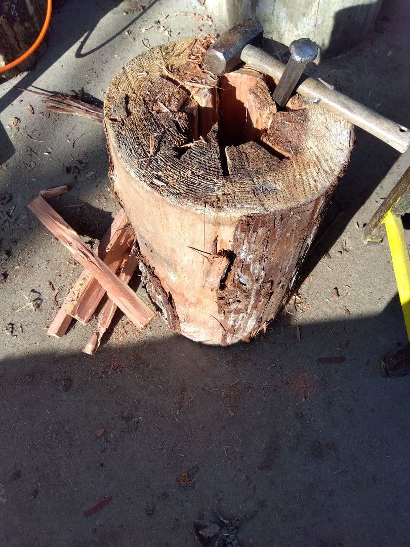 みつばち、昆虫飼育用 中空洞木材 杉材 樹洞 くり抜き 丸洞