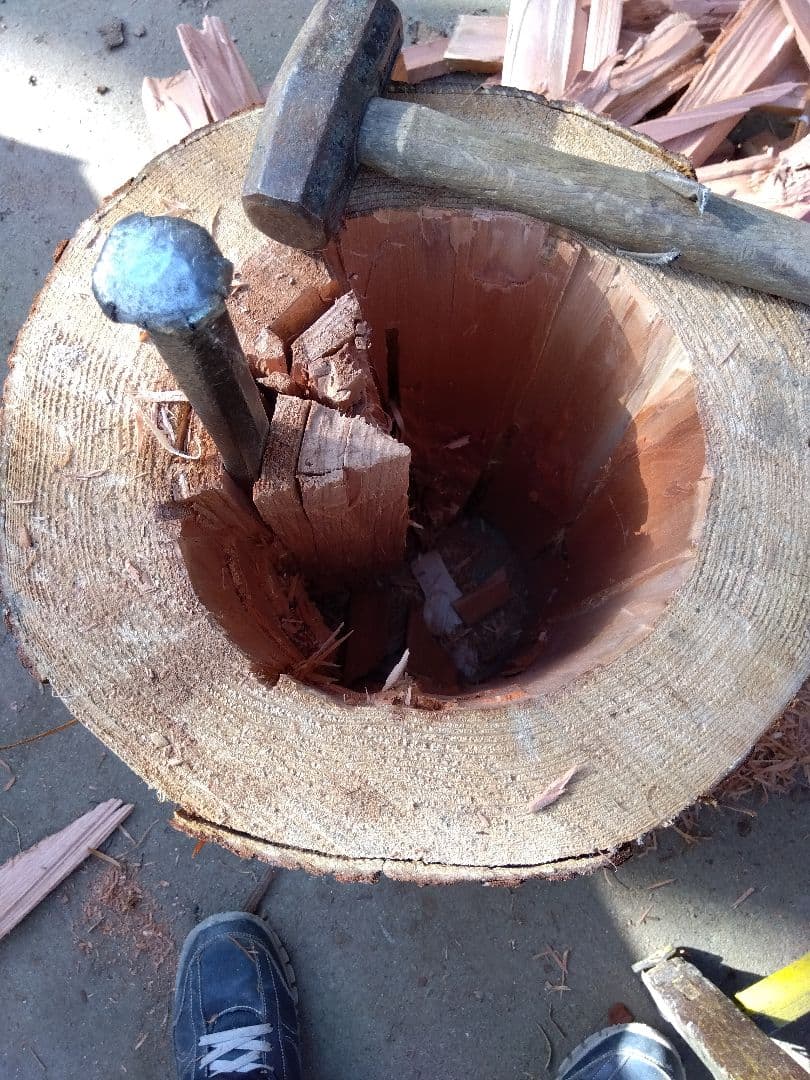 みつばち、昆虫飼育用 中空洞木材 杉材 樹洞 くり抜き 丸洞