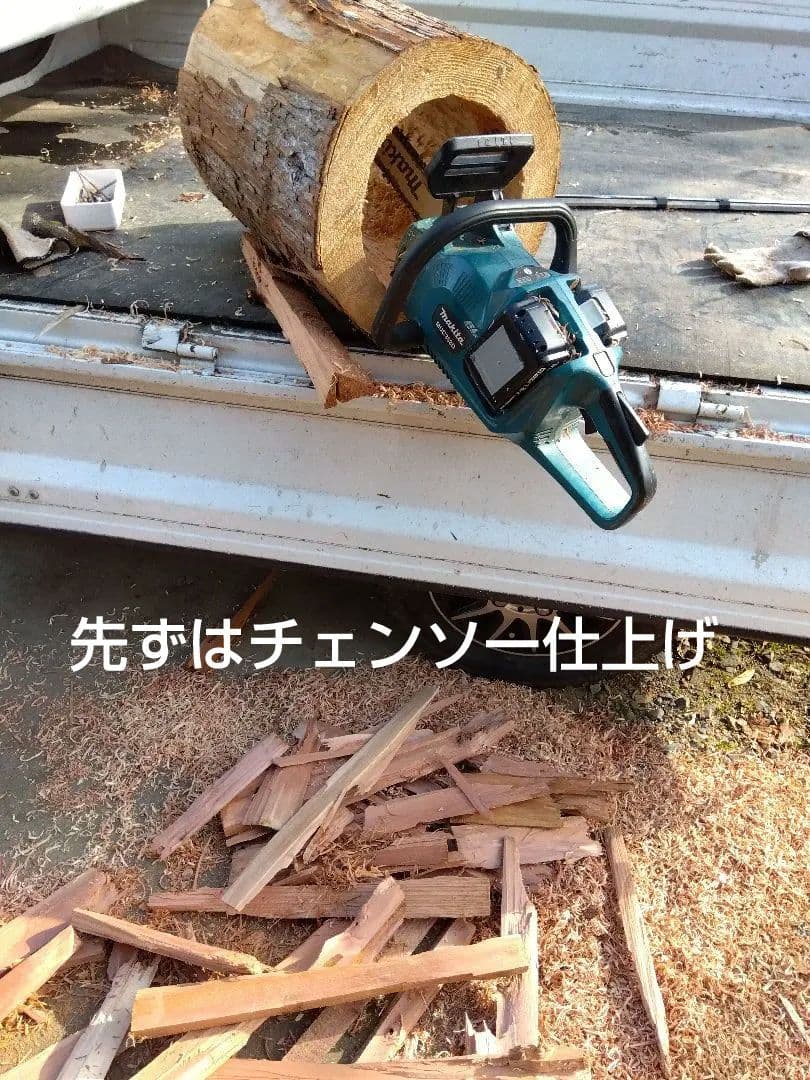 みつばち、昆虫飼育用 中空洞木材 杉材 樹洞 くり抜き 丸洞