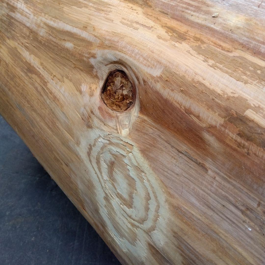 みつばち、昆虫飼育用 中空洞木材 杉材 樹洞 くり抜き 丸洞