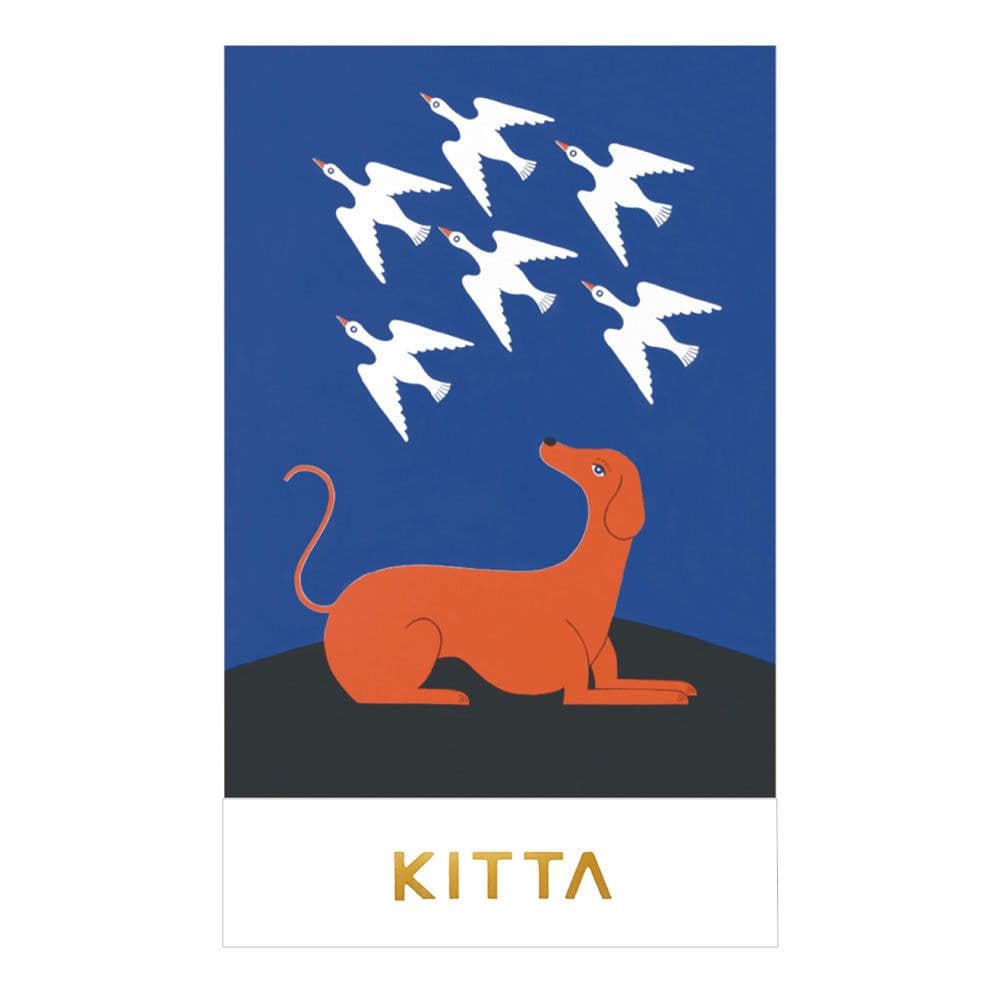 81　新作KITTAセット