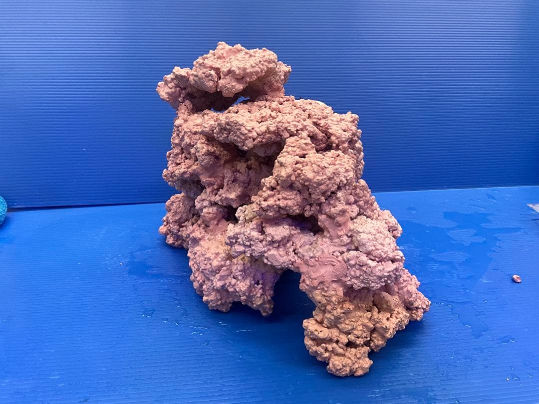 人工ライブロック　No.39. 無害化処理済