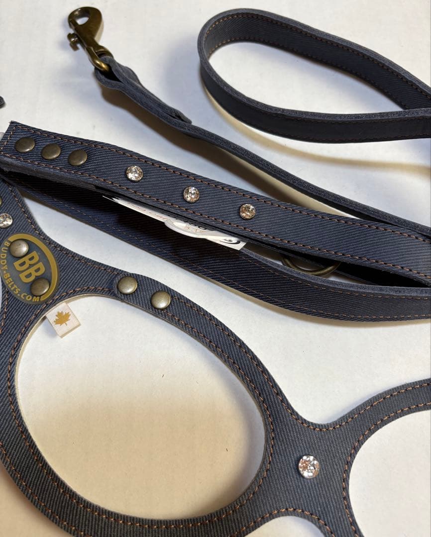 BUDDY BELT （ブルージーン）５号 スワロフスキー付　リードセット