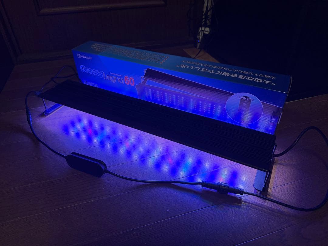 最終激安価格！もう直ぐ出品取り消しGrassyLegna 60 マリン　美品