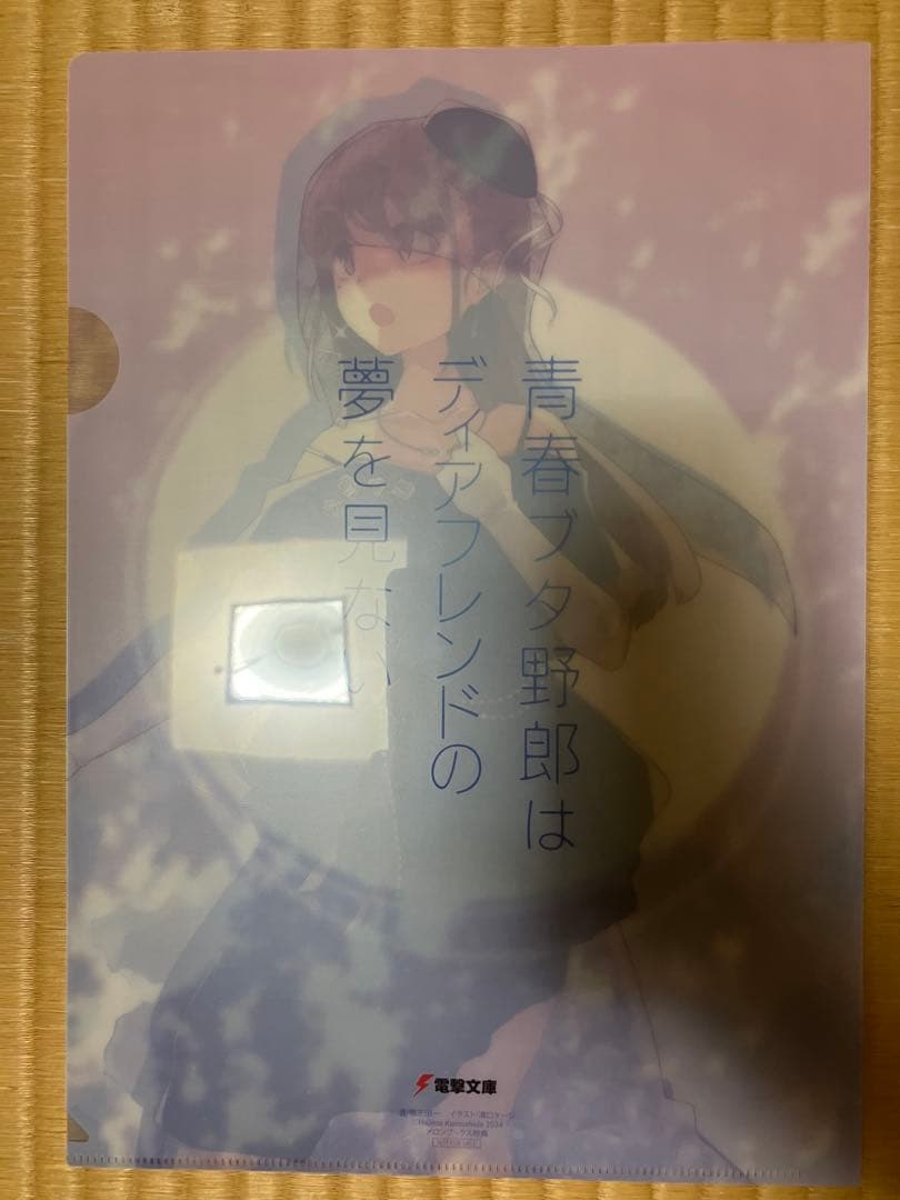 ドラマCD付き　特装版青春ブタ野郎はディアフレンドの夢を見ない　文庫全巻収納BO