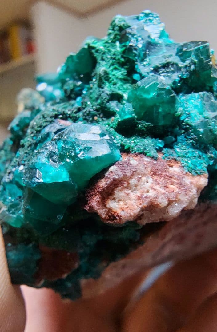 ディオプテーズ（翠銅鉱）母岩付きクラスター