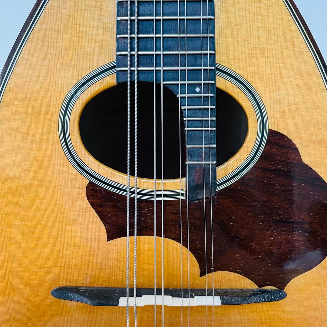 ★極美品★ SUZUKI スズキ M-100 マンドリン 生産完了品