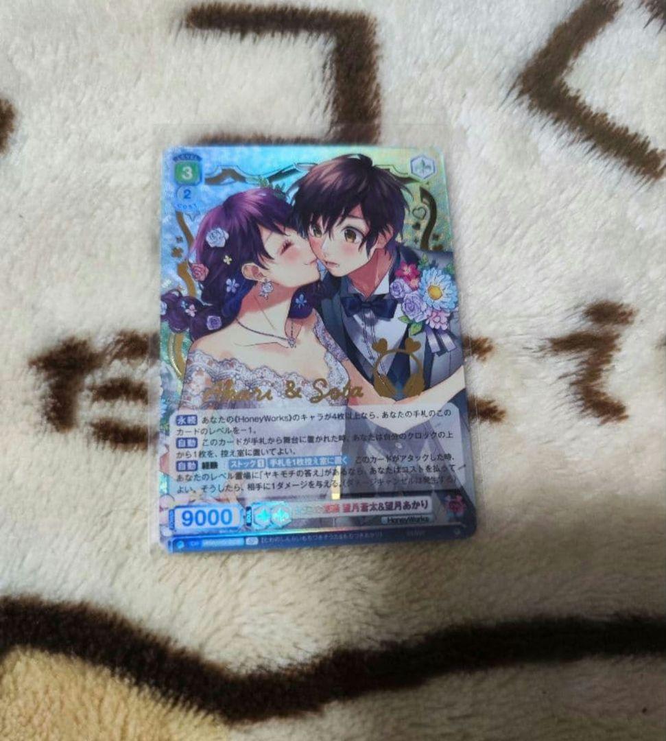 HoneyWorks 永遠の信頼 望月蒼太&望月あかりSP ブラウ