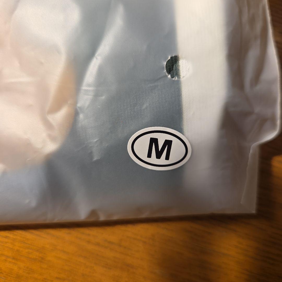 Fujii Kaze Tシャツ Mサイズ おまけの歯ブラシ　ステッカーあり