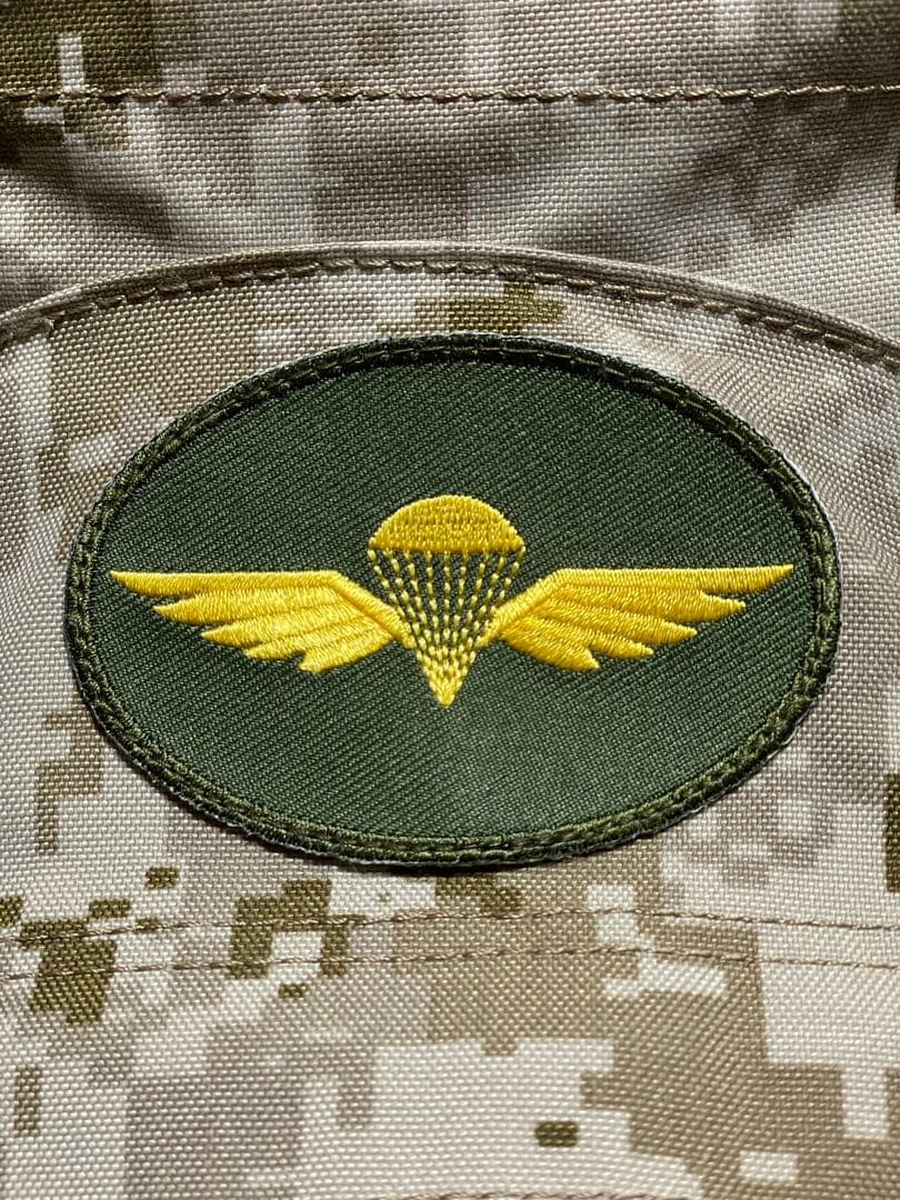 エマーソンギア ハイドレーションアサルトパック 日本未発売 美品 通勤 通学