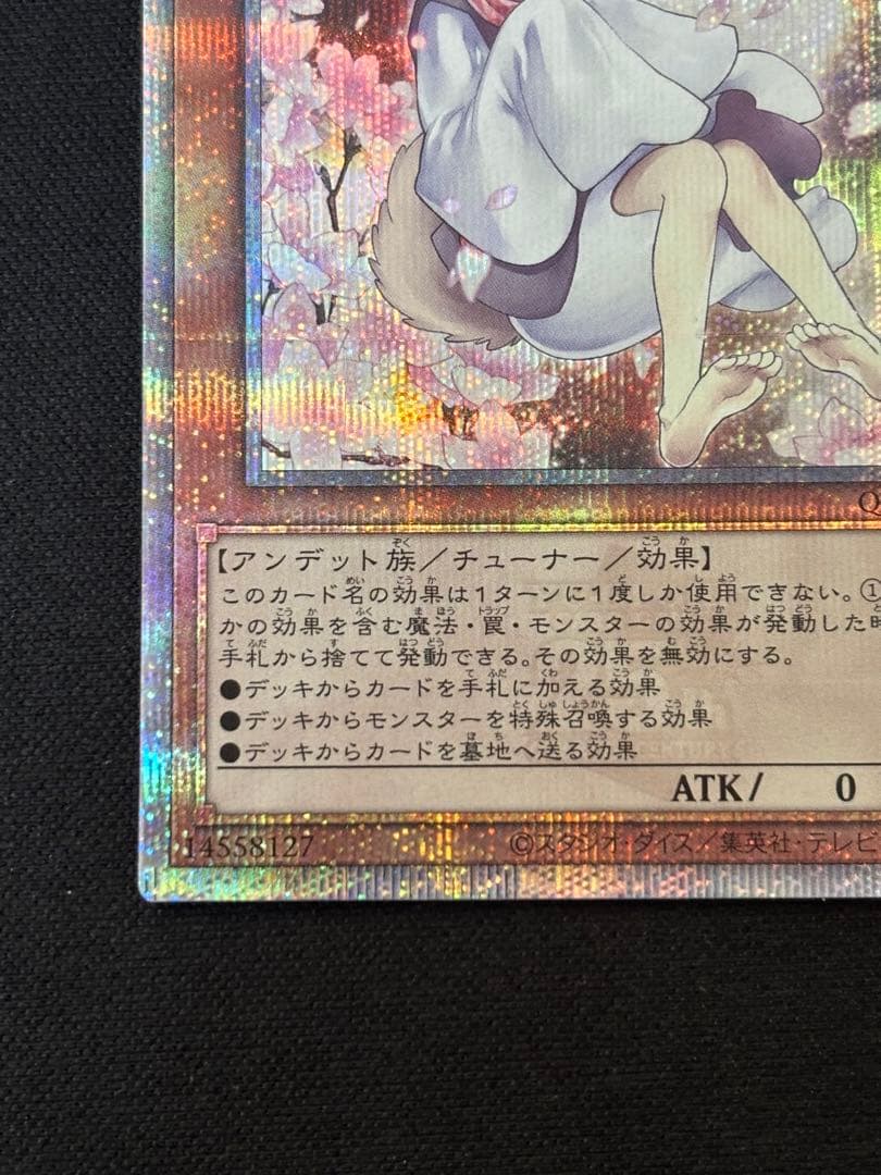 遊戯王　灰流うらら　25th 絵違い　クオシク