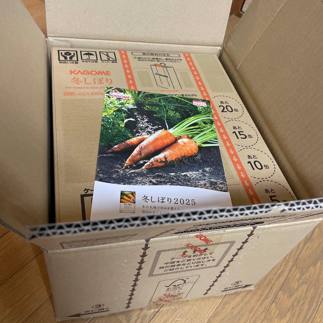 冬しぼり2025 カゴメ　にんじんジュース　健康直送便　30缶×2ケース