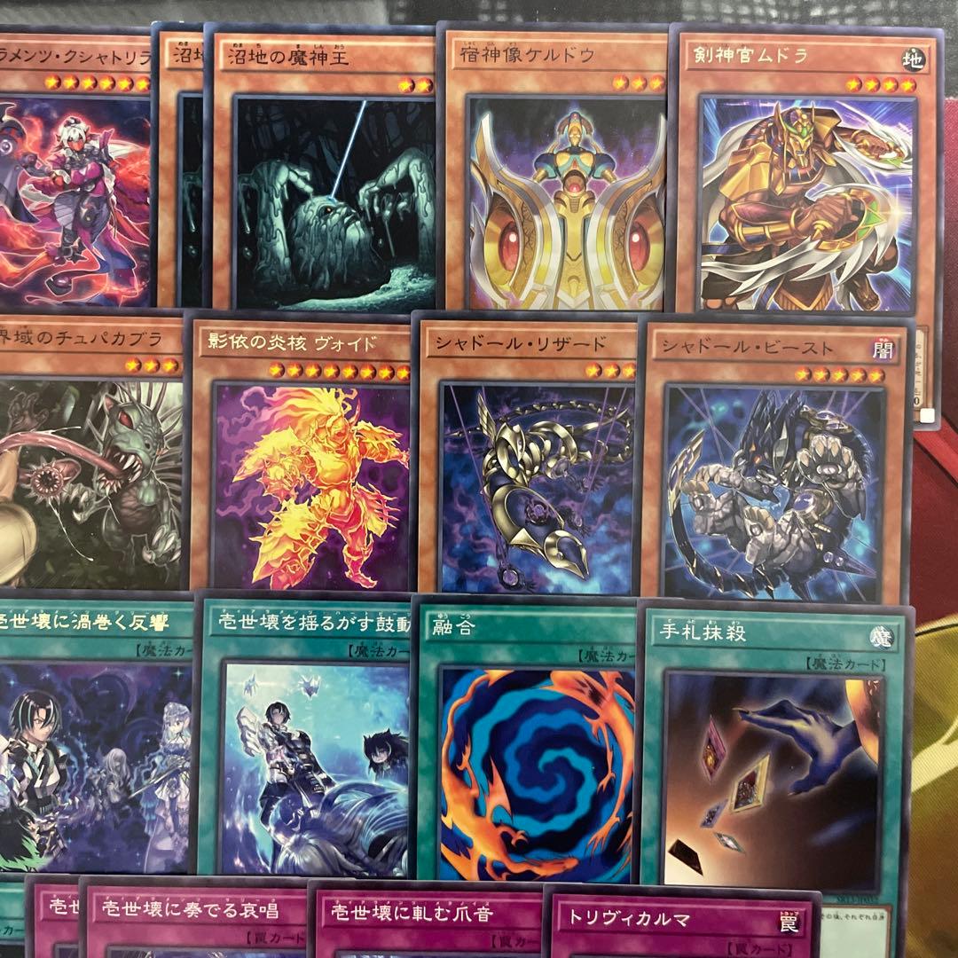 優勝構築 未界域ティアラメンツデッキ シェイレーン ケルドウ 未界域のネッシー